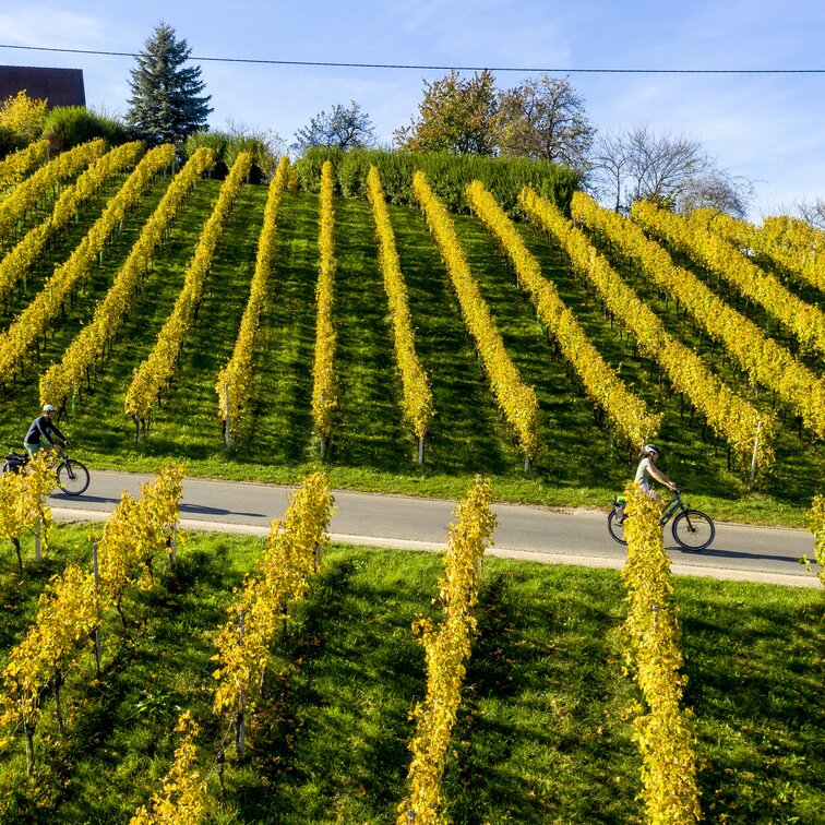 Radfahren In Der Steiermark | Steiermark.com